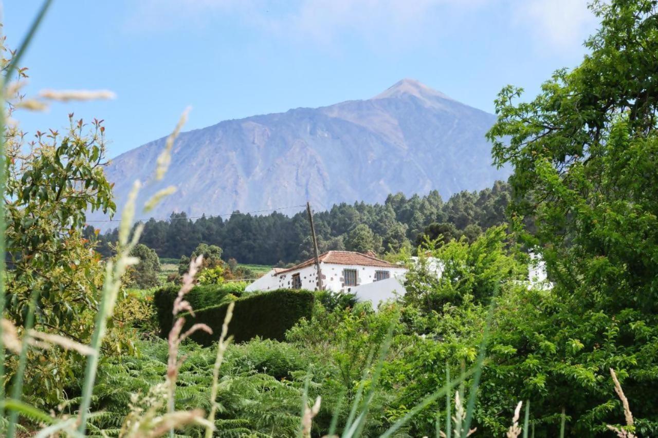 Casa Rural Felipe Luis San Juan de la Rambla Ngoại thất bức ảnh
